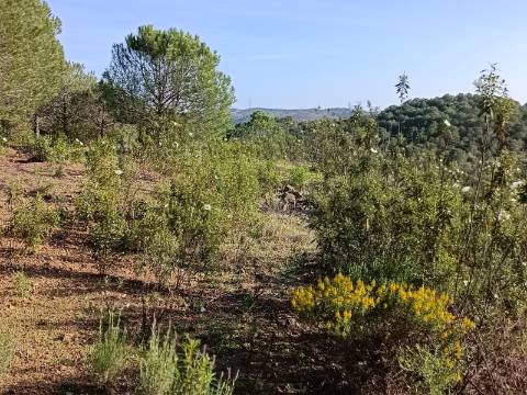 TERRENO COM 42.480 M2 - POSSIBILIDADE DE CONSTRUIR ARMAZEM - BELICHE - CASTRO MARIM - ALGARVE