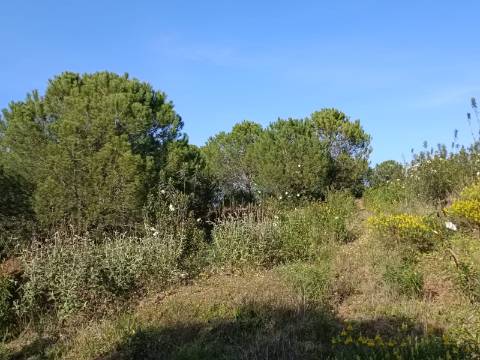 TERRENO COM 42.480 M2 - POSSIBILIDADE DE CONSTRUIR ARMAZEM - BELICHE - CASTRO MARIM - ALGARVE