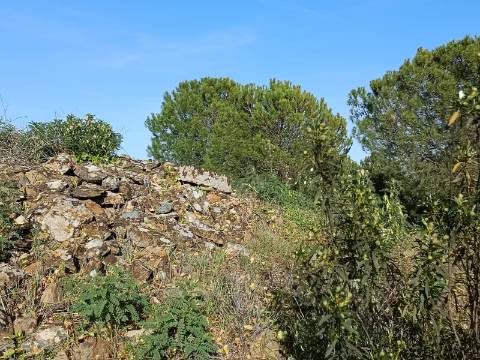 TERRENO COM 42.480 M2 - POSSIBILIDADE DE CONSTRUIR ARMAZEM - BELICHE - CASTRO MARIM - ALGARVE