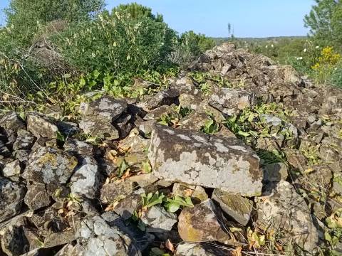 TERRENO COM 42.480 M2 - POSSIBILIDADE DE CONSTRUIR ARMAZEM - BELICHE - CASTRO MARIM - ALGARVE
