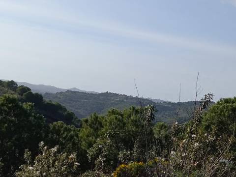 TERRENO COM 42.480 M2 - POSSIBILIDADE DE CONSTRUIR ARMAZEM - BELICHE - CASTRO MARIM - ALGARVE