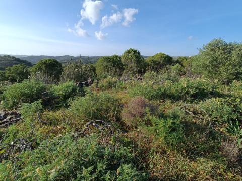 TERRENO COM 42.480 M2 - POSSIBILIDADE DE CONSTRUIR ARMAZEM - BELICHE - CASTRO MARIM - ALGARVE