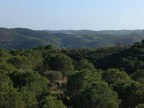 TERRENO COM 42.480 M2 - POSSIBILIDADE DE CONSTRUIR ARMAZEM - BELICHE - CASTRO MARIM - ALGARVE