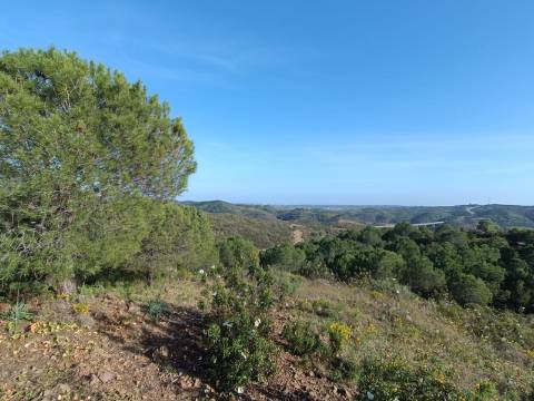 TERRENO COM 42.480 M2 - POSSIBILIDADE DE CONSTRUIR ARMAZEM - BELICHE - CASTRO MARIM - ALGARVE