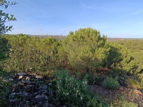 TERRENO COM 42.480 M2 - POSSIBILIDADE DE CONSTRUIR ARMAZEM - BELICHE - CASTRO MARIM - ALGARVE