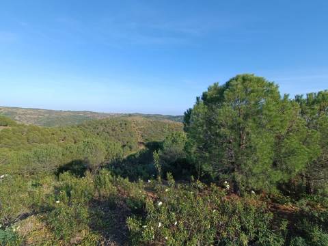 TERRENO COM 42.480 M2 - POSSIBILIDADE DE CONSTRUIR ARMAZEM - BELICHE - CASTRO MARIM - ALGARVE