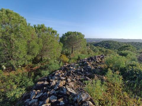 TERRENO COM 42.480 M2 - POSSIBILIDADE DE CONSTRUIR ARMAZEM - BELICHE - CASTRO MARIM - ALGARVE