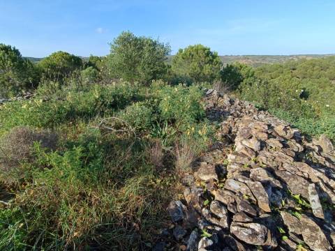 TERRENO COM 42.480 M2 - POSSIBILIDADE DE CONSTRUIR ARMAZEM - BELICHE - CASTRO MARIM - ALGARVE