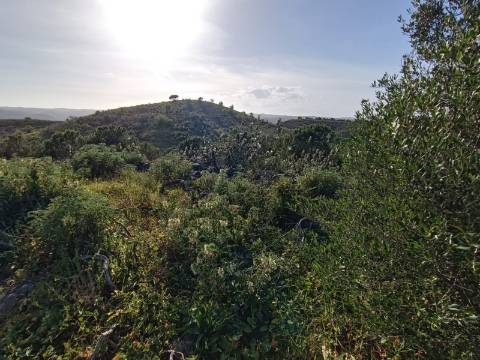 TERRENO COM 42.480 M2 - POSSIBILIDADE DE CONSTRUIR ARMAZEM - BELICHE - CASTRO MARIM - ALGARVE