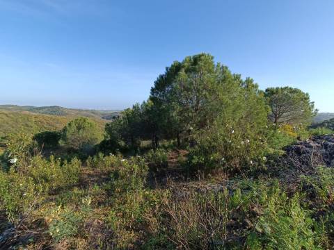 TERRENO COM 42.480 M2 - POSSIBILIDADE DE CONSTRUIR ARMAZEM - BELICHE - CASTRO MARIM - ALGARVE