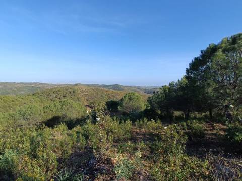 TERRENO COM 42.480 M2 - POSSIBILIDADE DE CONSTRUIR ARMAZEM - BELICHE - CASTRO MARIM - ALGARVE