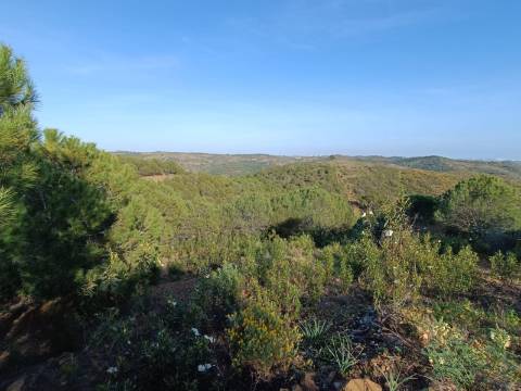 TERRENO COM 42.480 M2 - POSSIBILIDADE DE CONSTRUIR ARMAZEM - BELICHE - CASTRO MARIM - ALGARVE