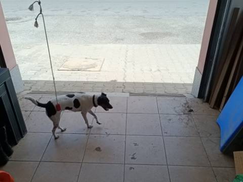 GARAGEM PARA CARRO E MOTO - ÁGUA, LUZ E ESGOTOS - ACESSO DIRETO À RUA - HORTAS - VILA REAL DE SANTO ANTONIO
