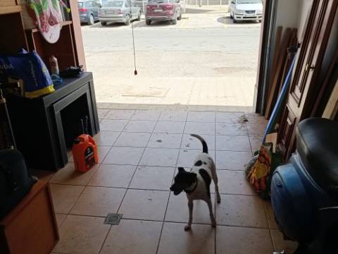 GARAGEM PARA CARRO E MOTO - ÁGUA, LUZ E ESGOTOS - ACESSO DIRETO À RUA - HORTAS - VILA REAL DE SANTO ANTONIO