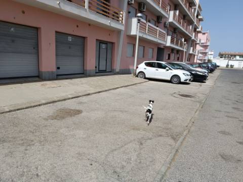 GARAGEM PARA CARRO E MOTO - ÁGUA, LUZ E ESGOTOS - ACESSO DIRETO À RUA - HORTAS - VILA REAL DE SANTO ANTONIO