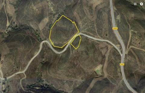 Terreno Rústico, Cotovio