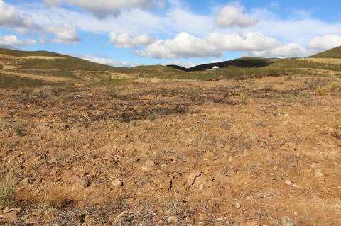 Terreno Rústico, Cotovio