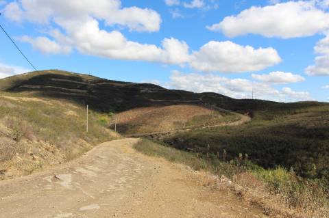 Terreno Rústico, Cotovio