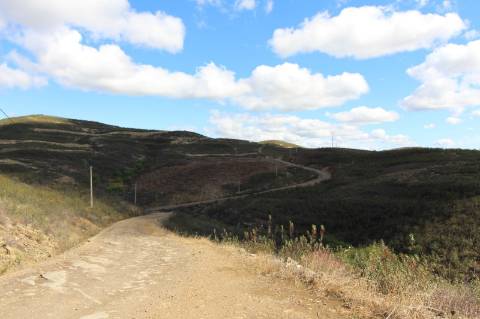 Terreno Rústico, Cotovio