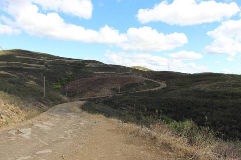 Terreno Rústico, Cotovio