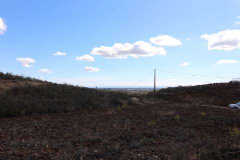 Terreno Rústico, Cotovio