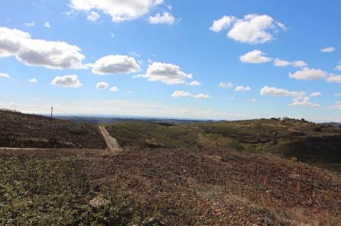 Terreno Rústico, Cotovio