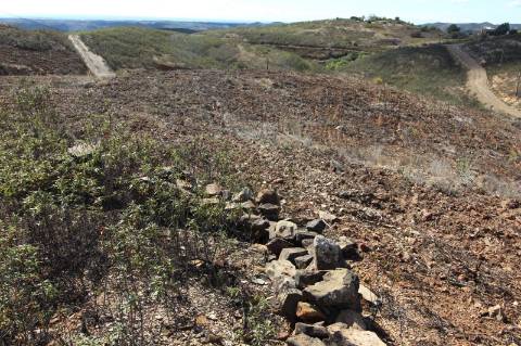 Terreno Rústico, Cotovio
