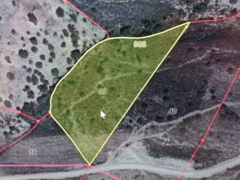 TERRENO RUSTICO COM 7.240 M2 - PRÓXIMO A ALDEIA DOS BALURCOS EM ALCOUTIM - ALGARVE
