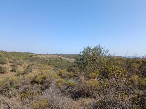 TERRENO RUSTICO COM 7.240 M2 - PRÓXIMO A ALDEIA DOS BALURCOS EM ALCOUTIM - ALGARVE