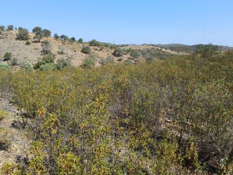 TERRENO RUSTICO COM 7.240 M2 - PRÓXIMO A ALDEIA DOS BALURCOS EM ALCOUTIM - ALGARVE