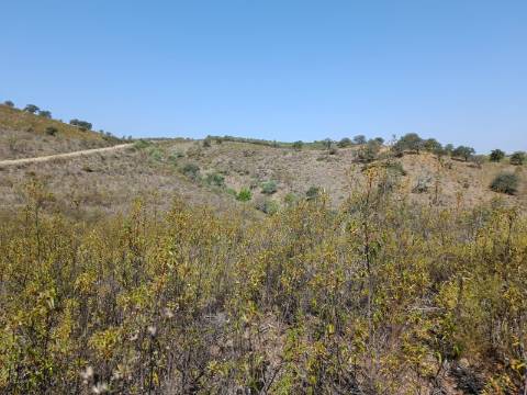 TERRENO RUSTICO COM 7.240 M2 - PRÓXIMO A ALDEIA DOS BALURCOS EM ALCOUTIM - ALGARVE