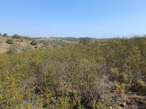 TERRENO RUSTICO COM 7.240 M2 - PRÓXIMO A ALDEIA DOS BALURCOS EM ALCOUTIM - ALGARVE