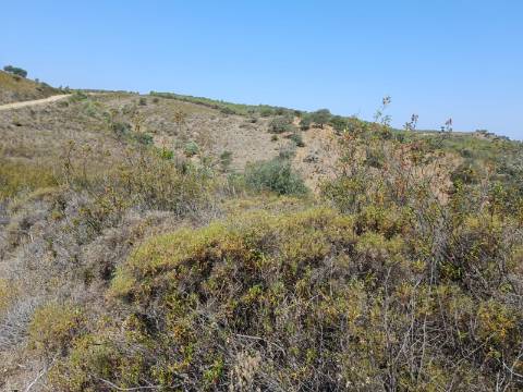 TERRENO RUSTICO COM 7.240 M2 - PRÓXIMO A ALDEIA DOS BALURCOS EM ALCOUTIM - ALGARVE