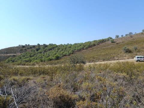 TERRENO RUSTICO COM 7.240 M2 - PRÓXIMO A ALDEIA DOS BALURCOS EM ALCOUTIM - ALGARVE