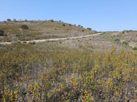TERRENO RUSTICO COM 7.240 M2 - PRÓXIMO A ALDEIA DOS BALURCOS EM ALCOUTIM - ALGARVE
