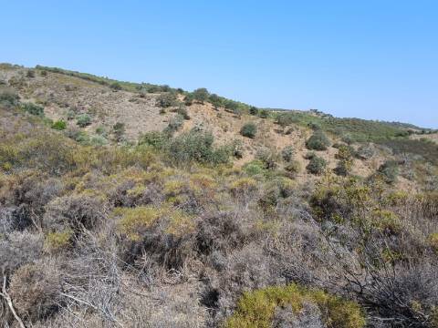 TERRENO RUSTICO COM 7.240 M2 - PRÓXIMO A ALDEIA DOS BALURCOS EM ALCOUTIM - ALGARVE
