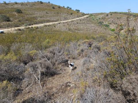 TERRENO RUSTICO COM 7.240 M2 - PRÓXIMO A ALDEIA DOS BALURCOS EM ALCOUTIM - ALGARVE