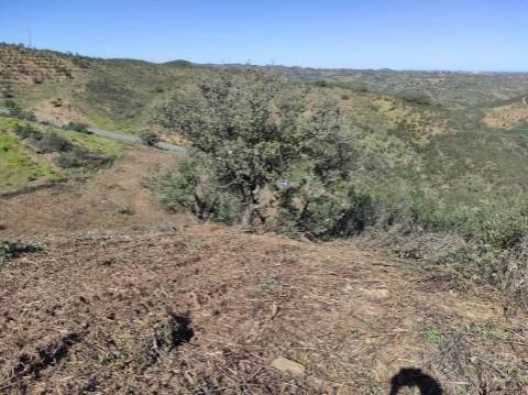 TERRENO RÚSTICO COM 5.920 M2 - BONS ACESSOS - CORTELHA - AZINHAL - CASTRO MARIM - ALGARVE