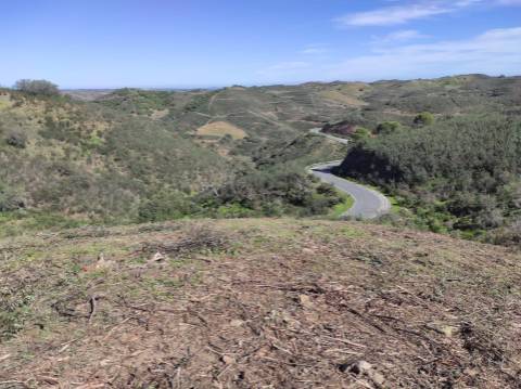 TERRENO RÚSTICO COM 5.920 M2 - BONS ACESSOS - CORTELHA - AZINHAL - CASTRO MARIM - ALGARVE