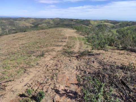 TERRENO RÚSTICO COM 5.920 M2 - BONS ACESSOS - CORTELHA - AZINHAL - CASTRO MARIM - ALGARVE