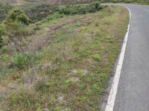 TERRENO RÚSTICO COM 5.920 M2 - BONS ACESSOS - CORTELHA - AZINHAL - CASTRO MARIM - ALGARVE