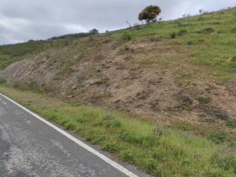 TERRENO RÚSTICO COM 5.920 M2 - BONS ACESSOS - CORTELHA - AZINHAL - CASTRO MARIM - ALGARVE
