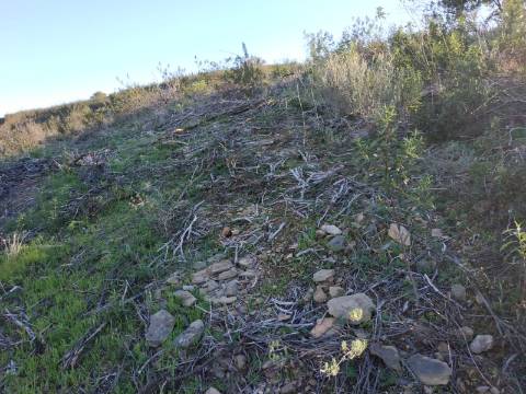 TERRENO RÚSTICO COM 5.920 M2 - BONS ACESSOS - CORTELHA - AZINHAL - CASTRO MARIM - ALGARVE