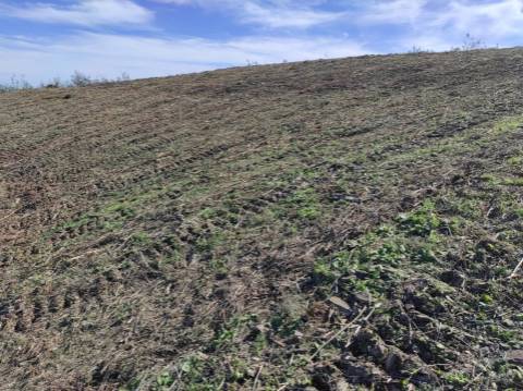 TERRENO RÚSTICO COM 5.920 M2 - BONS ACESSOS - CORTELHA - AZINHAL - CASTRO MARIM - ALGARVE