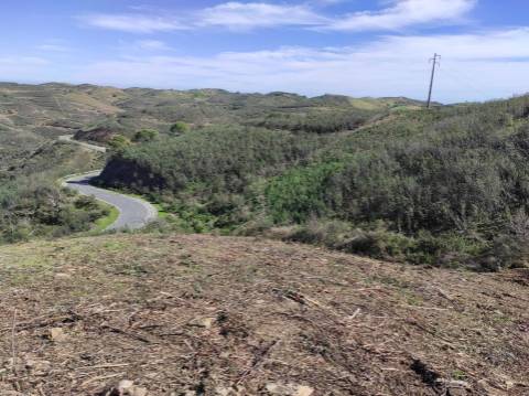 TERRENO RÚSTICO COM 5.920 M2 - BONS ACESSOS - CORTELHA - AZINHAL - CASTRO MARIM - ALGARVE