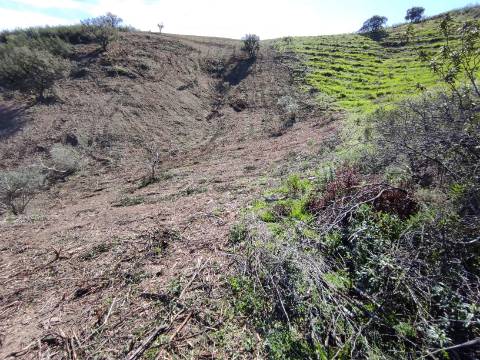 TERRENO RÚSTICO COM 5.920 M2 - BONS ACESSOS - CORTELHA - AZINHAL - CASTRO MARIM - ALGARVE