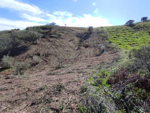 TERRENO RÚSTICO COM 5.920 M2 - BONS ACESSOS - CORTELHA - AZINHAL - CASTRO MARIM - ALGARVE