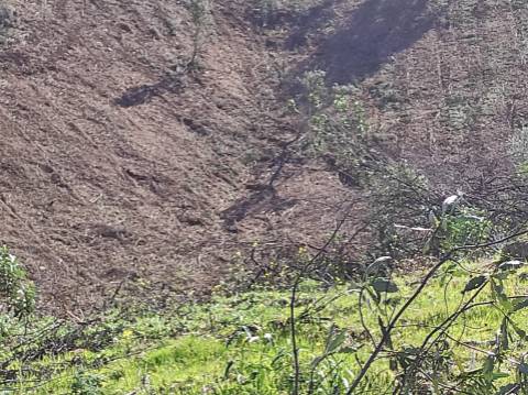 TERRENO RÚSTICO COM 5.920 M2 - BONS ACESSOS - CORTELHA - AZINHAL - CASTRO MARIM - ALGARVE