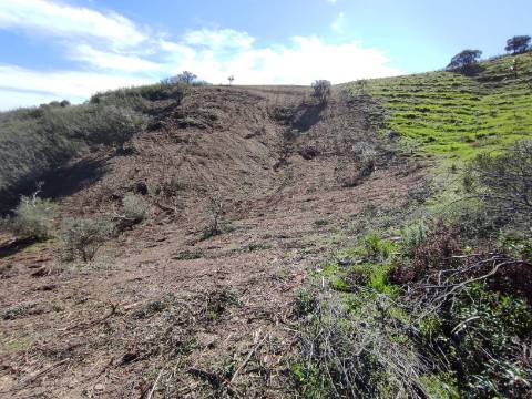 TERRENO RÚSTICO COM 5.920 M2 - BONS ACESSOS - CORTELHA - AZINHAL - CASTRO MARIM - ALGARVE