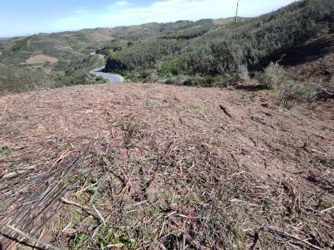 TERRENO RÚSTICO COM 5.920 M2 - BONS ACESSOS - CORTELHA - AZINHAL - CASTRO MARIM - ALGARVE
